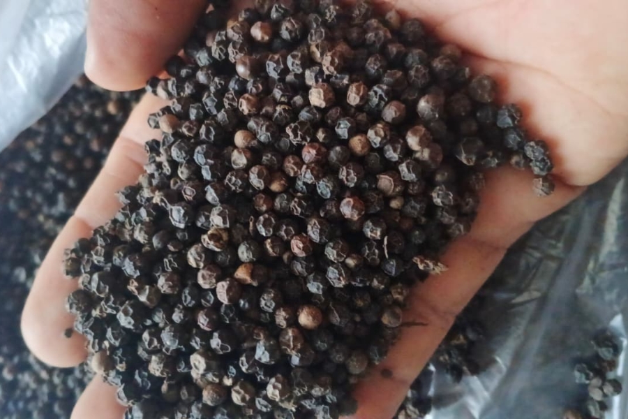Sumatra Black Pepper